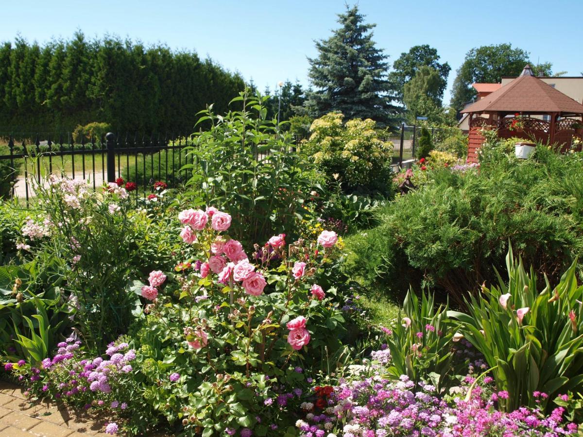Bed and Breakfast Bajka Домбкі Екстер'єр фото