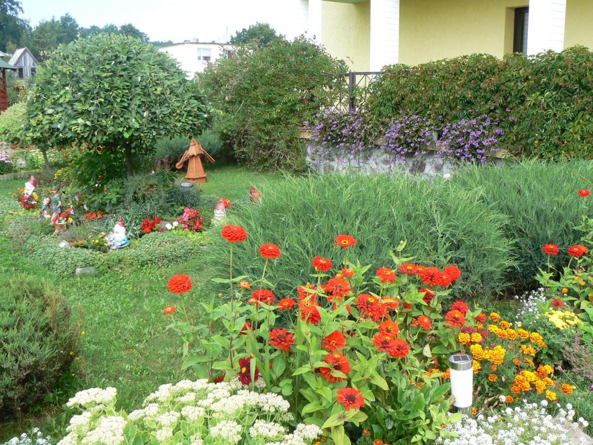 Bed and Breakfast Bajka Домбкі Екстер'єр фото