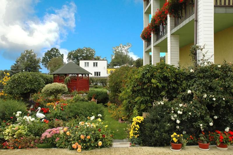 Bed and Breakfast Bajka Домбкі Екстер'єр фото